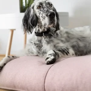 Finno Hondenbed - Roze