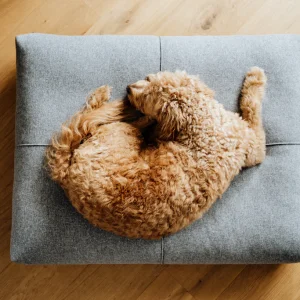 Finno Hondenbed - Anthraciet