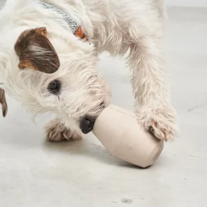 Cono Activity Toy - Antiverveling