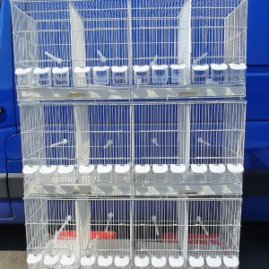 Witte Draadkooien Kweekkooien Stapelbaar 102cm ( doos van 3 )