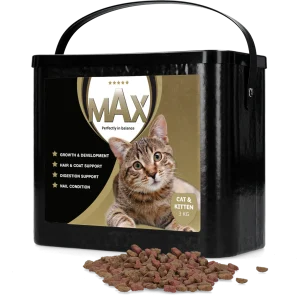Max Kat en Kitten