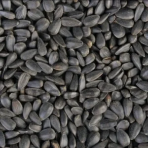 Zwarte Zonnebloempitten 15kg - Versele Laga