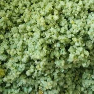 Verdure Rul Eivoer ( + Vitamine Complex ), Op Basis van wortel, venkel en tomaat - Pineta Zootecnici